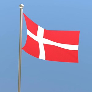 Opslagsbillede
