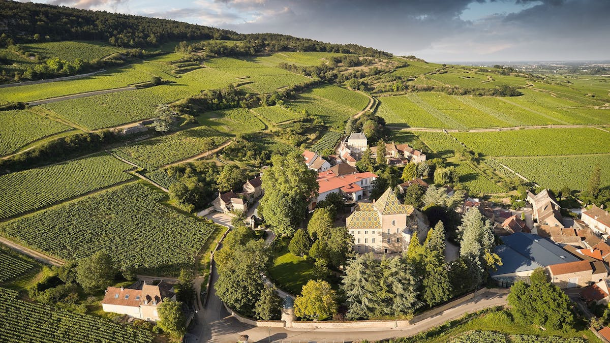Vin- og tapasoplevelse på Salling Rooftop i Aalborg