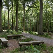 Oplev Ledreborgs historie og skovbegravelsesplads