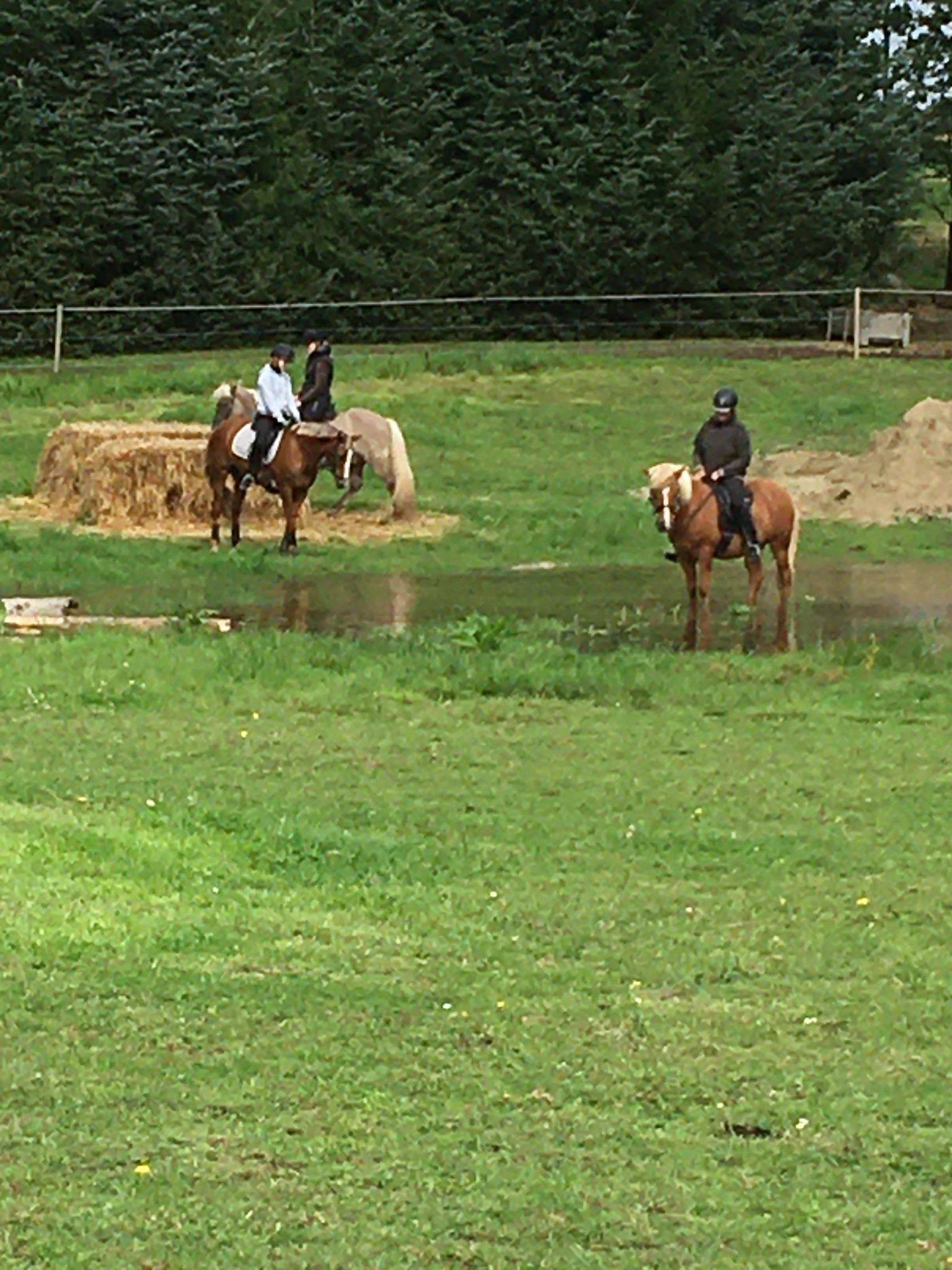 Introkursus - Mountain Trail & Agility