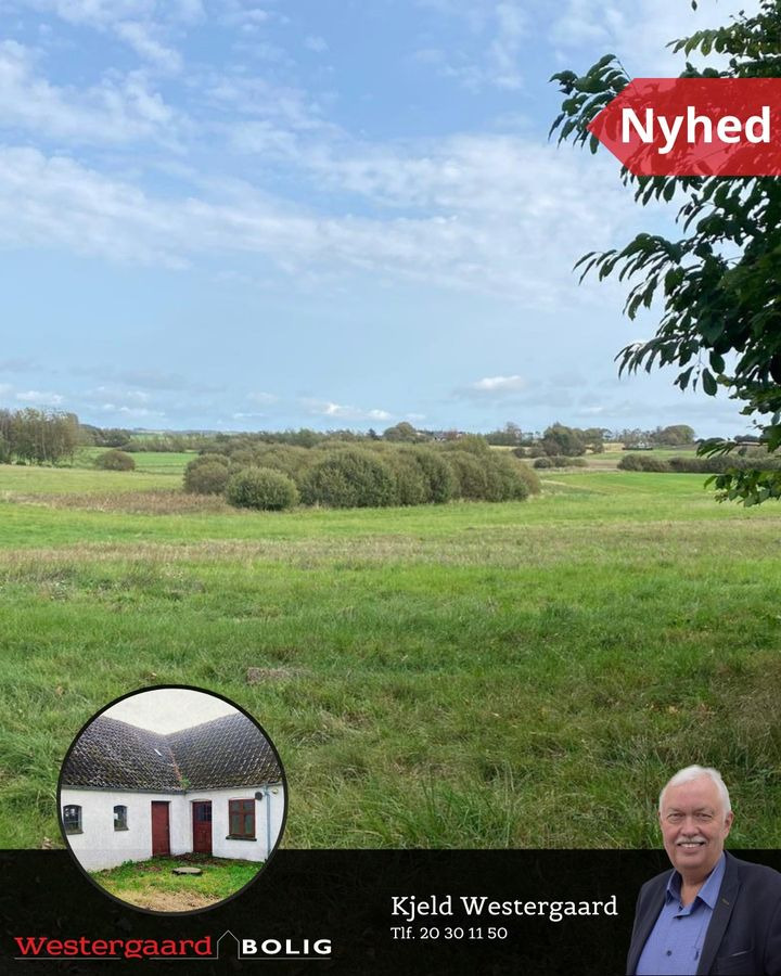 En finger på pulsen i Brønderslev