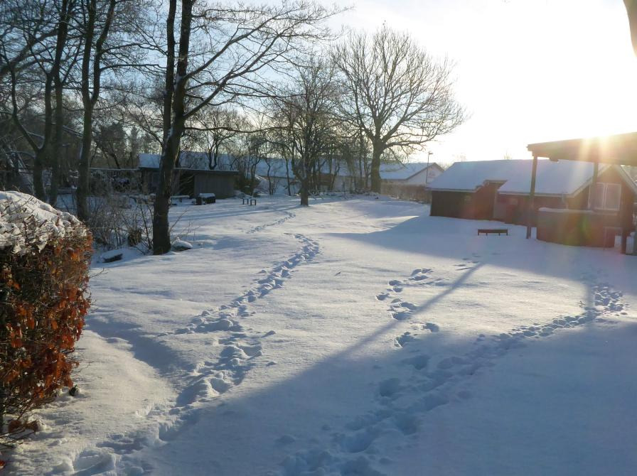 Julestemning og eventyr på Vrå Bibliotek