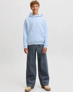 opslagsbillede