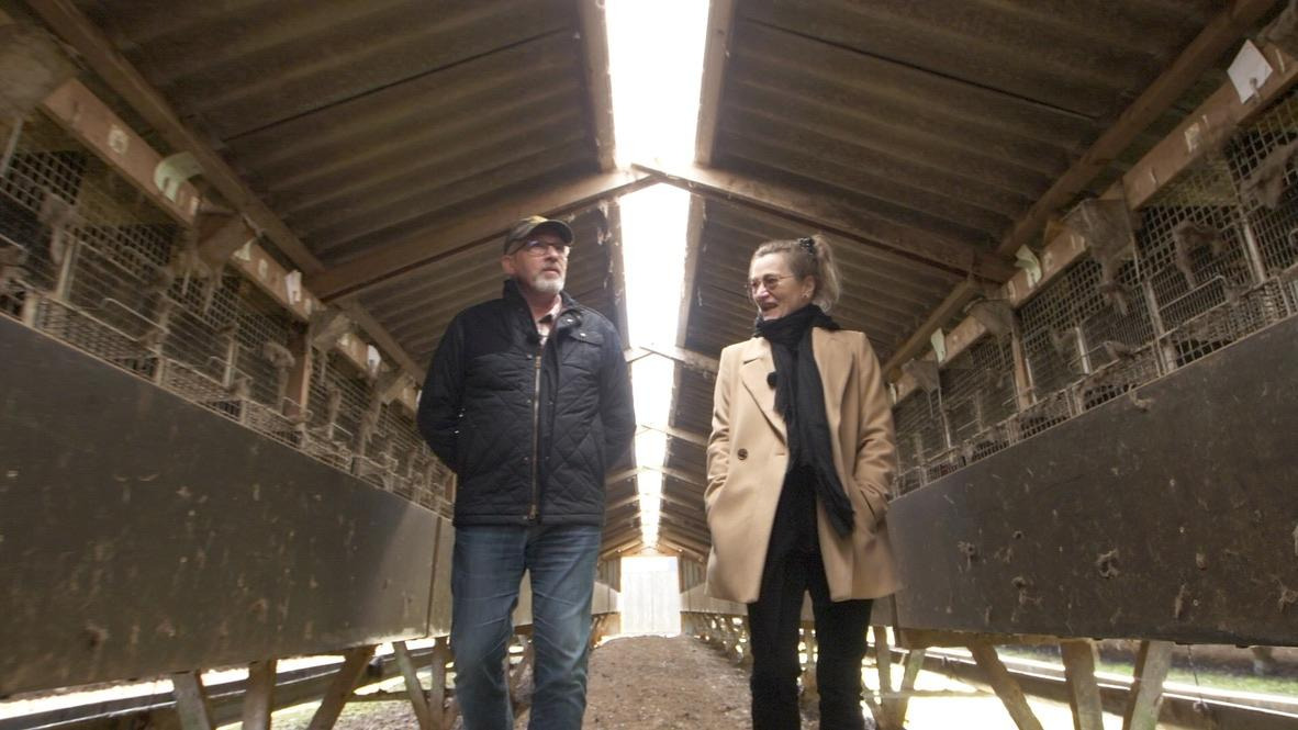 Se dagens updates fra Risskov her