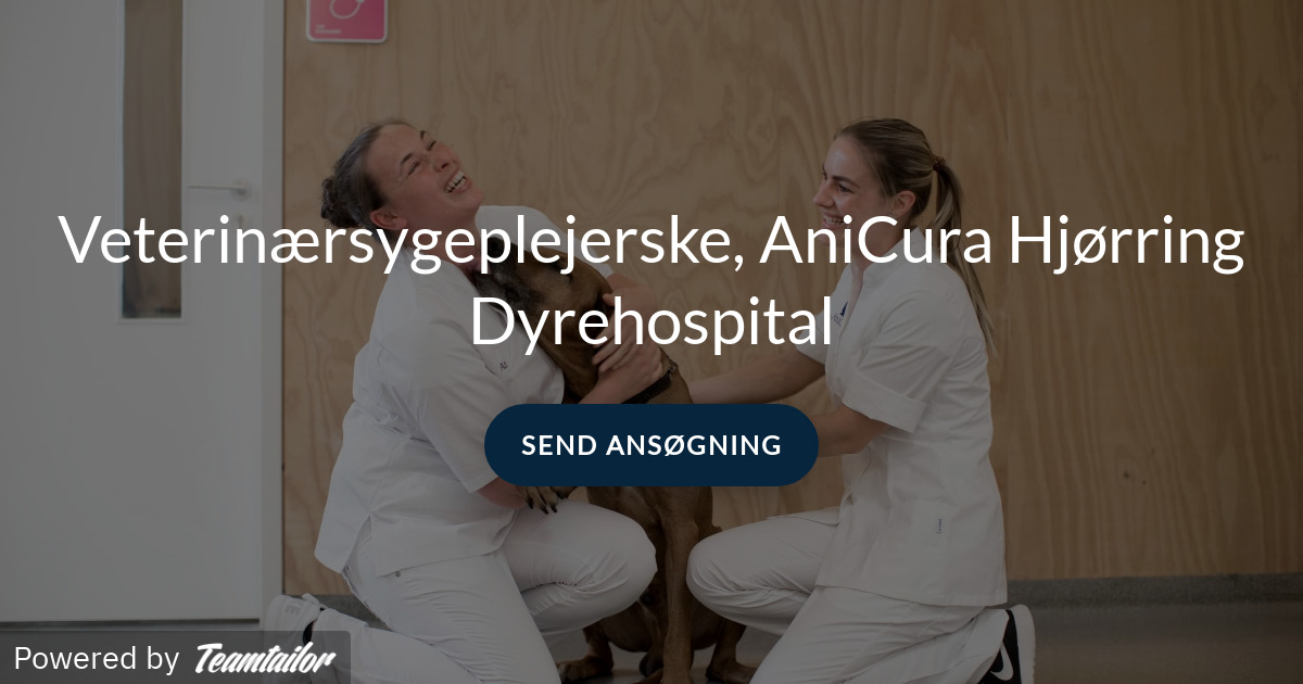 En finger på pulsen i Hjørring