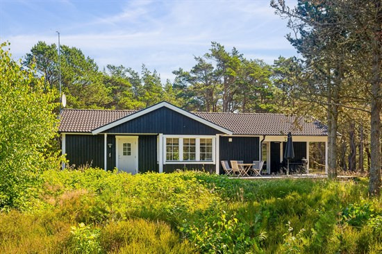 Pris sat ned med 200.000 kr. på Sortmejsevej 10