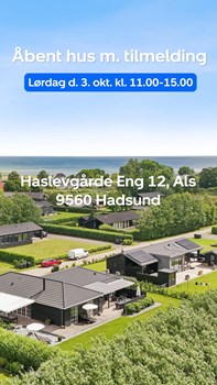 Opslagsbillede