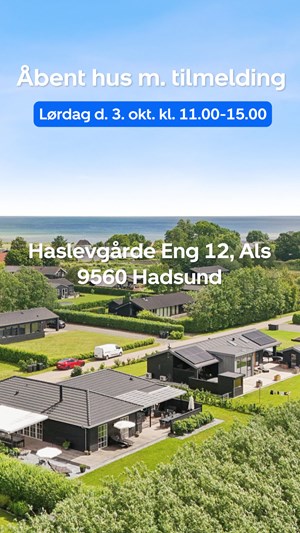 opslagsbillede