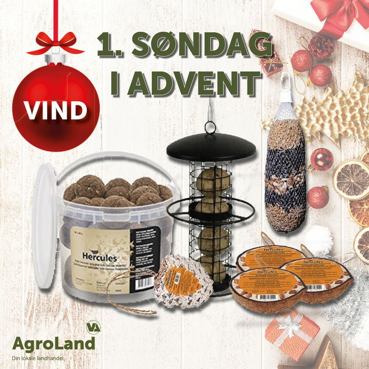 Opdatér dig her: Det nyeste fra Herning