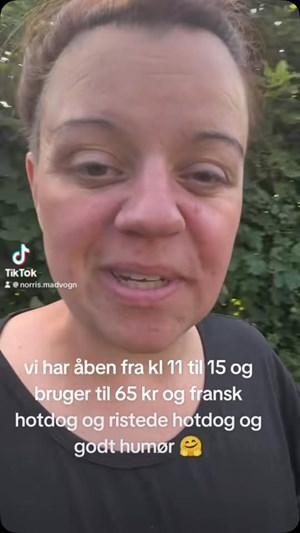 opslagsbillede