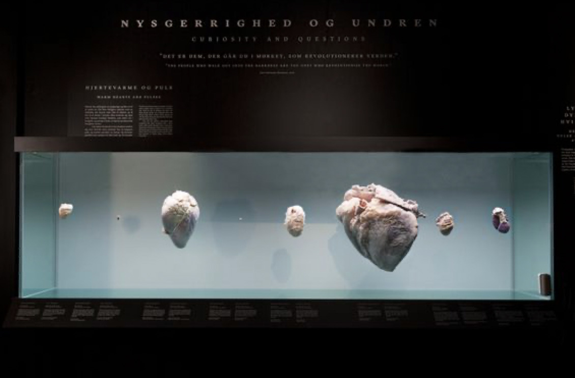 Science Museerne i Aarhus nomineret til international pris