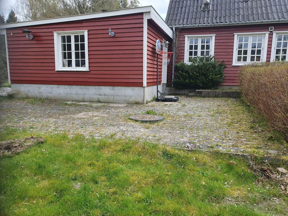 Hold trit med lokalområdet: Nyt fra Ikast