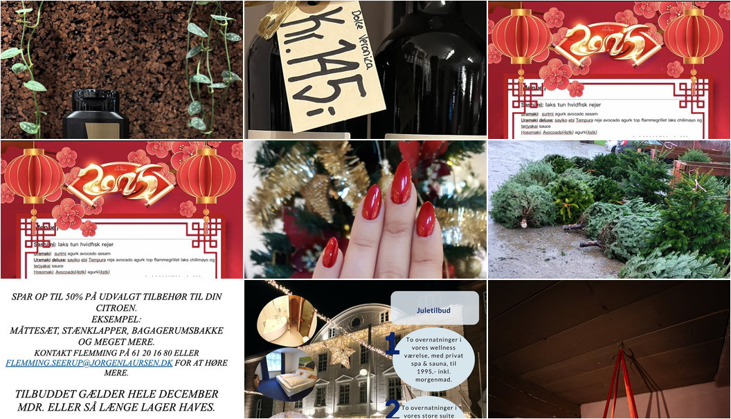 Nyt fra Lahvino Wine & Spirits, Center Dyreklinik, Den Kinesiske Mur og 10 andre