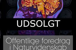 Foredrag om livets mening på Hørning Bibliotek