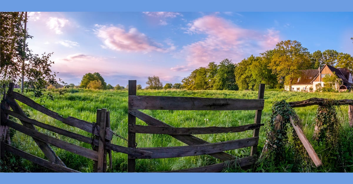 Opslagstavlen: Nyeste opdateringer fra Møldrup