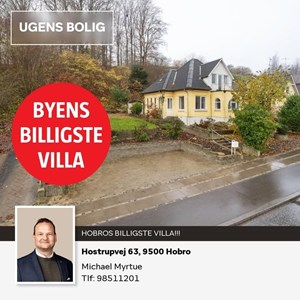 Opslagsbillede