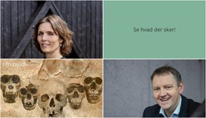 Forfatterforedrag, evolutionære opdagelser og højtlæsning: Ugen byder på kultur og viden i Hornslet