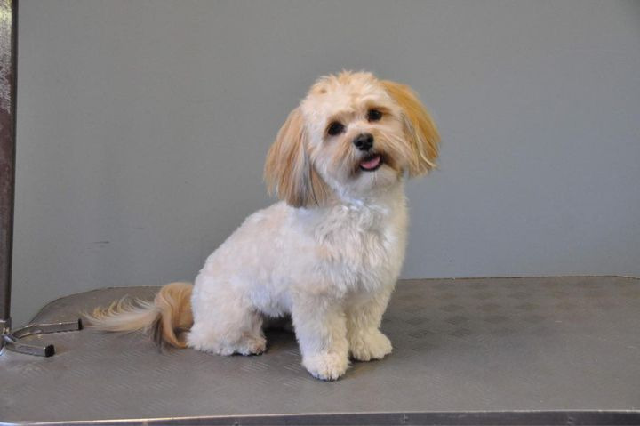 Nyt på opslagstavlen i Sæby