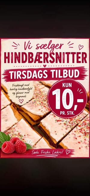 opslagsbillede