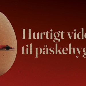 Opslagsbillede