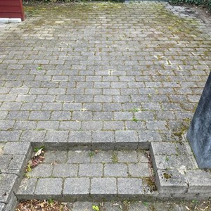 Opslagsbillede