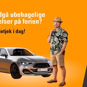 Opslagsbillede