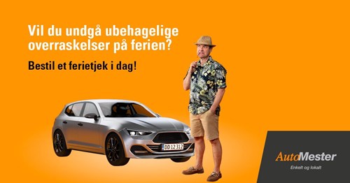 Opslagsbillede