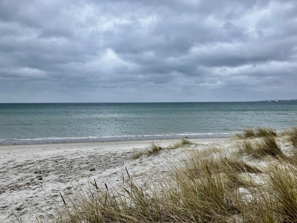 Tag med på en vandretur langs Risskov Strand