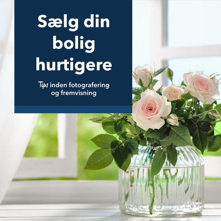 Opslagstavlen: Nyeste opdateringer fra Skive