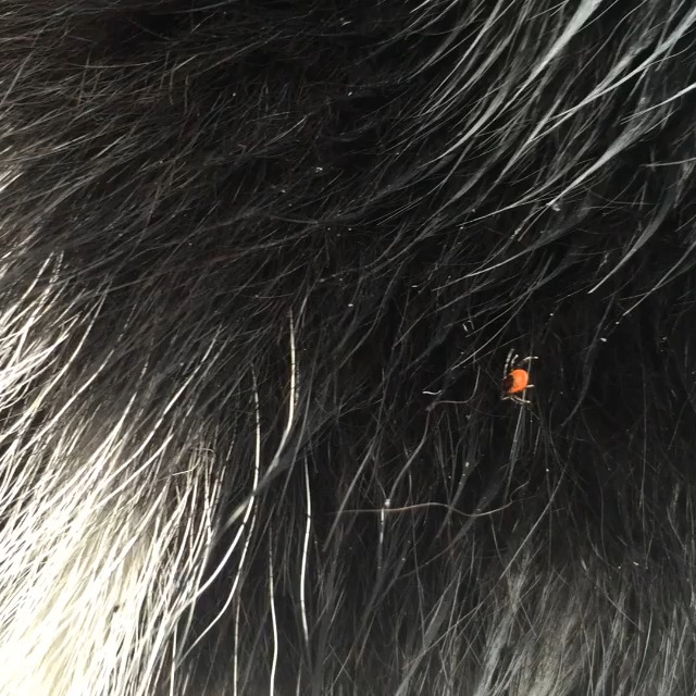 Hold dig ajour med dagens opdateringer fra Hjørring