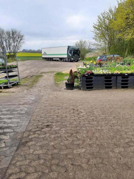 GARTNERIET KORSHØJ informerer om ny forsyning af planter hver tirsdag