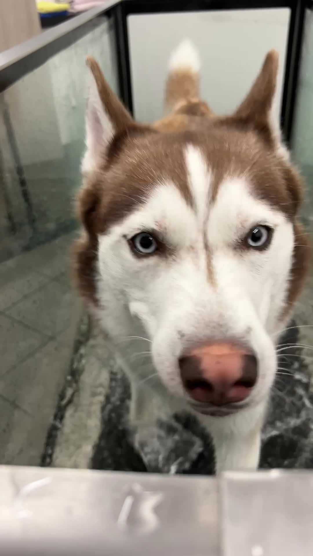 Opslagstavlen: Nyeste opdateringer fra Sæby