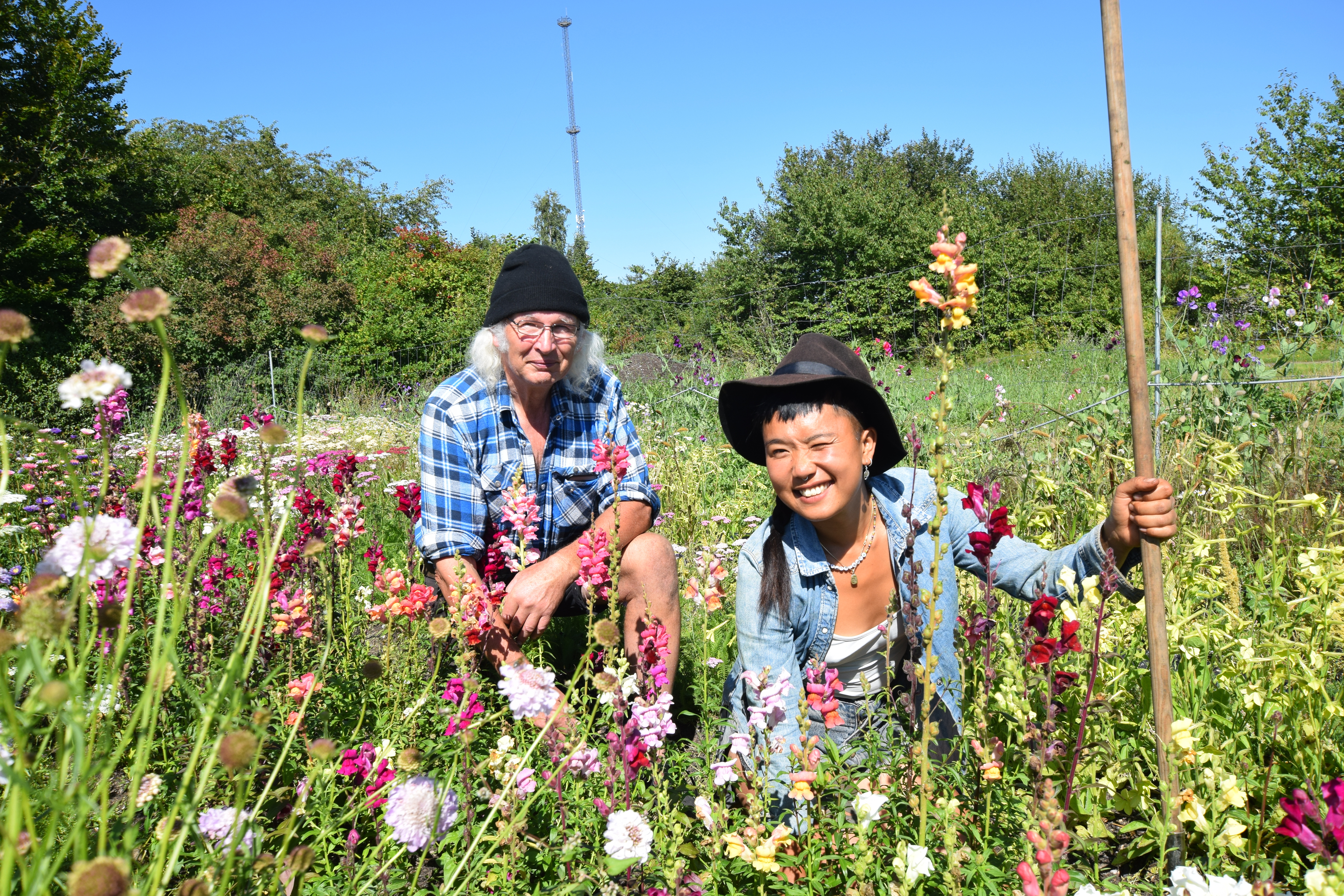 Åben gård på Den Lille Mark i Odense