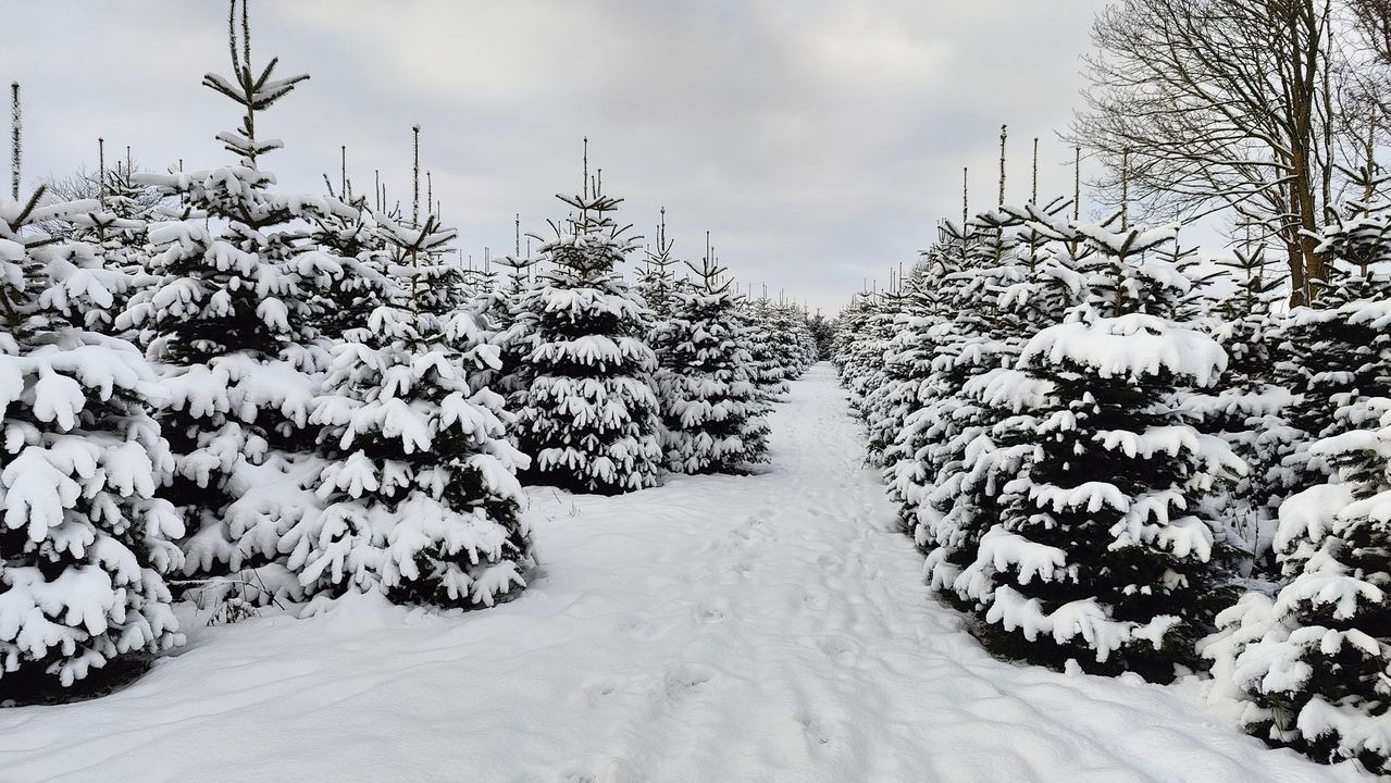 Nyt på opslagstavlen i Kjellerup