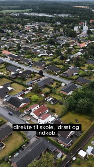 opslagsbillede