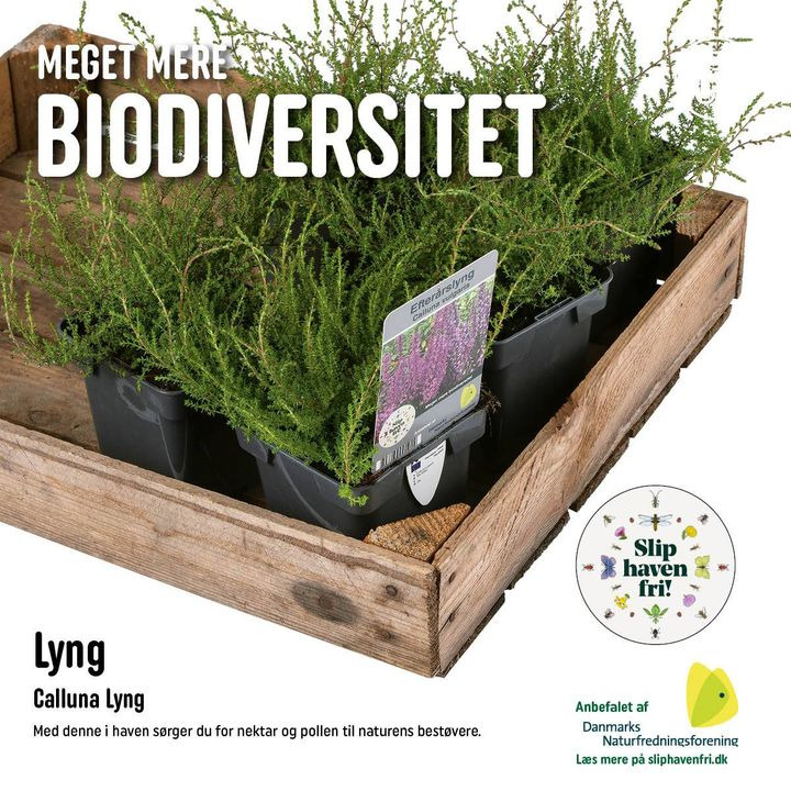 Nyt på opslagstavlen i Viby J