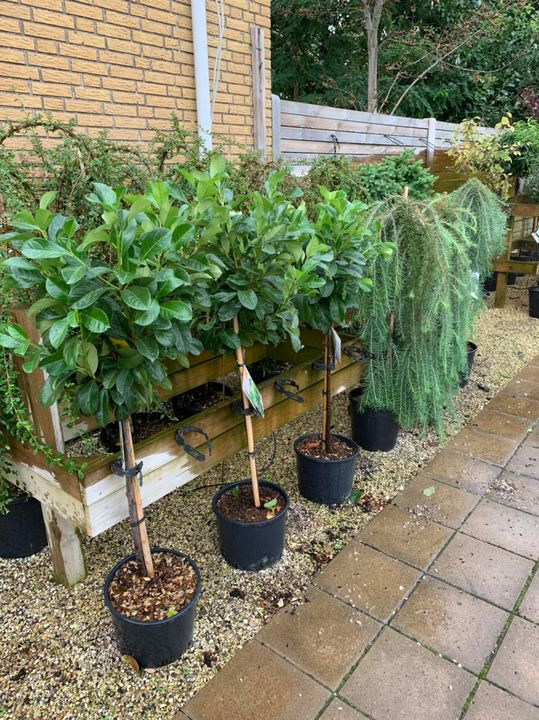 Hold dig ajour med dagens opdateringer fra Brønderslev