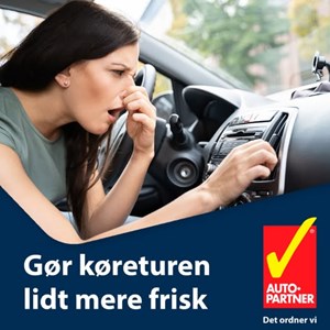opslagsbillede
