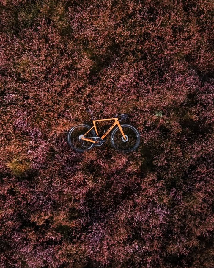 Sæby cykler inviterer til efterårseventyr med Ridley Bikes og den nye orange Astr