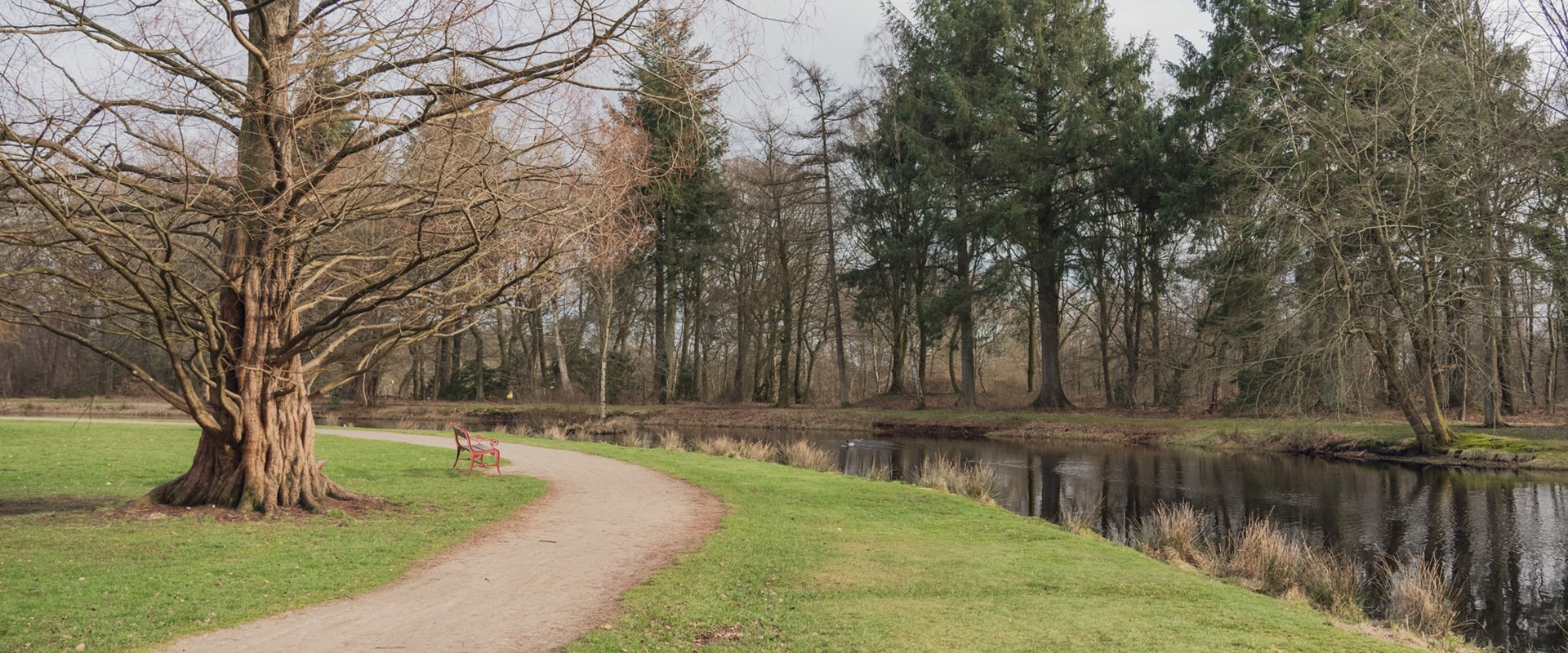 Kom med til Royal Run event i Sdr. Anlæg
