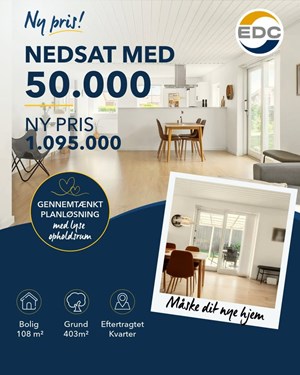opslagsbillede