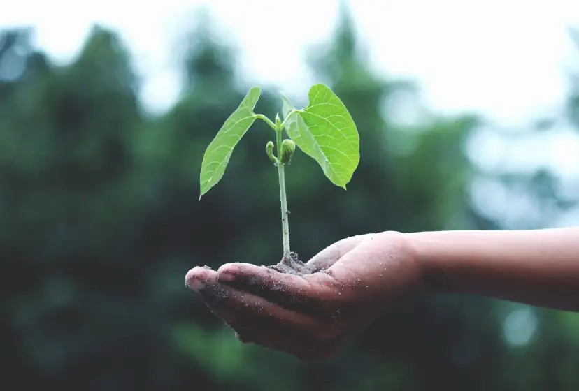 Hjørring Byråd præsenterer ny forebyggelsesstrategi for socialområdet