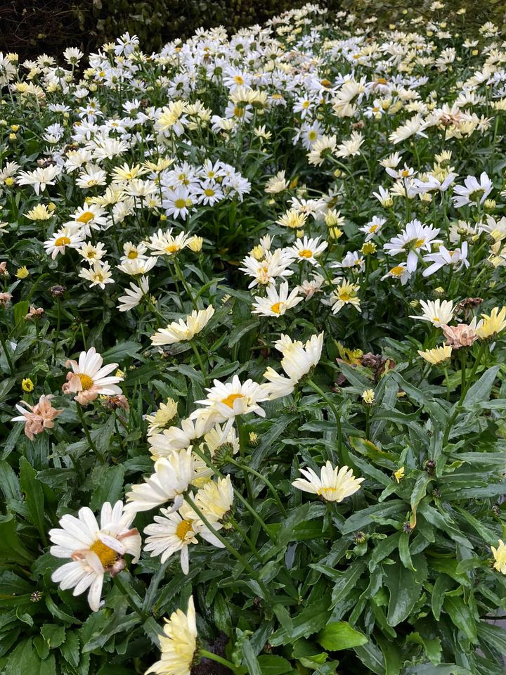 Hold dig ajour med dagens opdateringer fra Odder