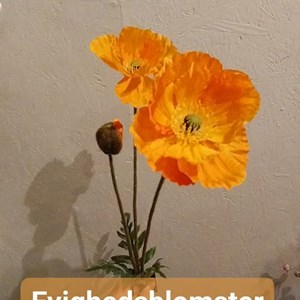 Opslagsbillede