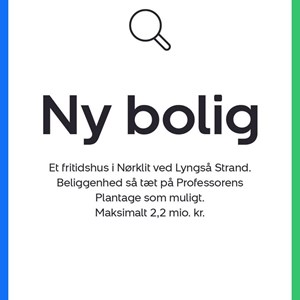 Opslagsbillede