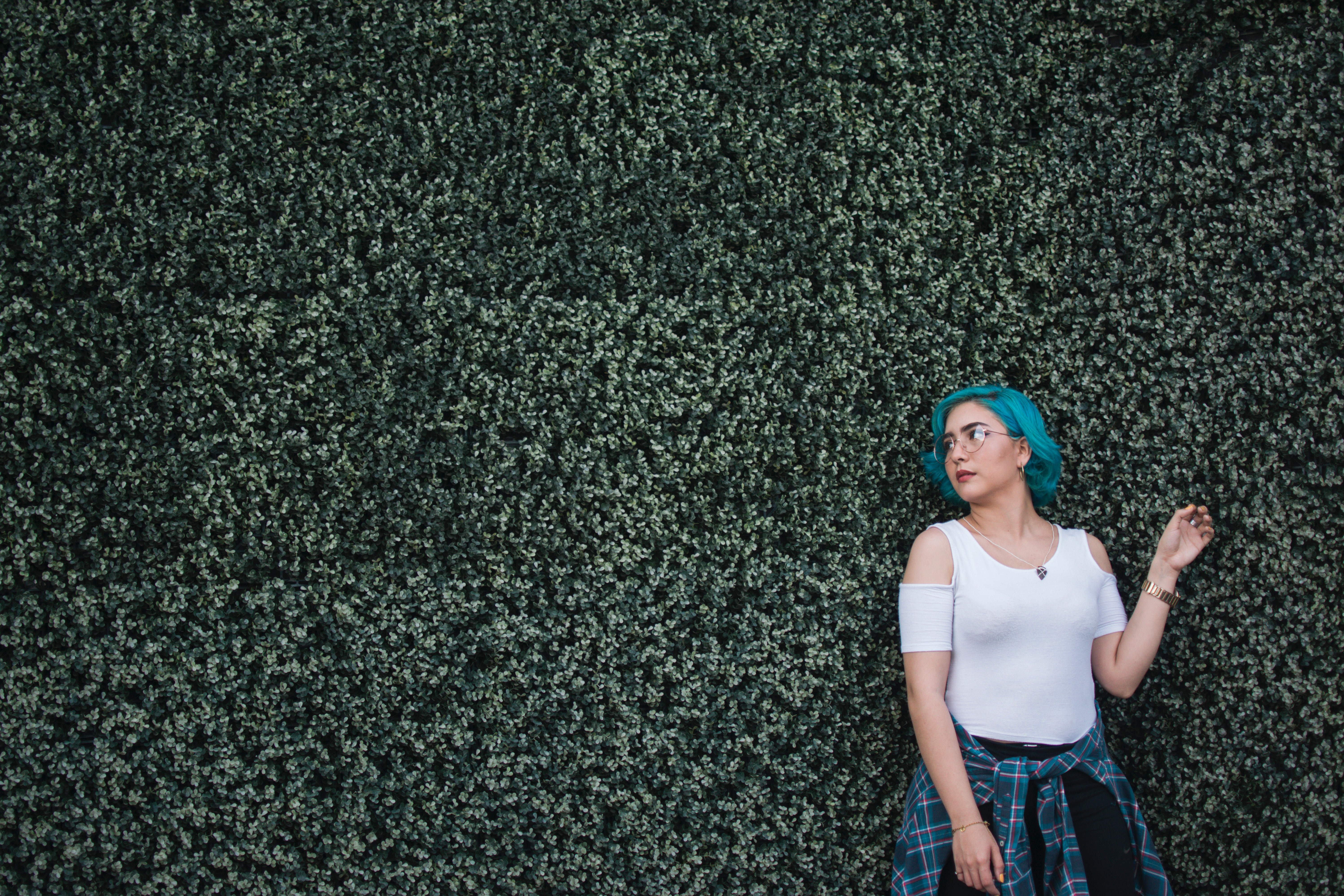 De bedste hækkeplanter til at skabe et privatliv i haven