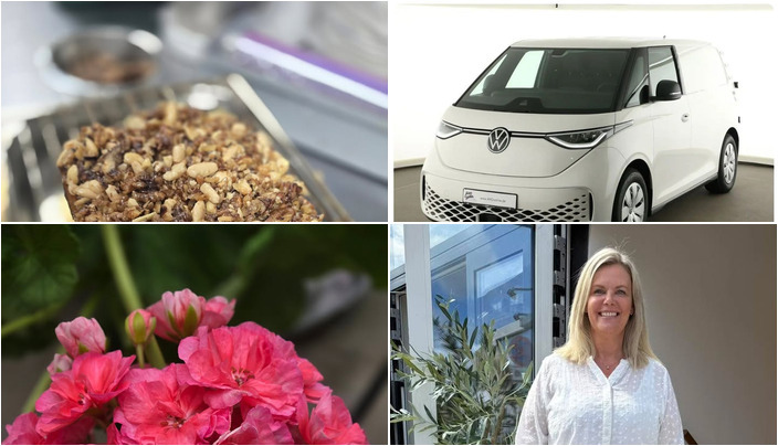 Nyt fra Only Curves, Flore Vida, Café Tidslös og 1 anden