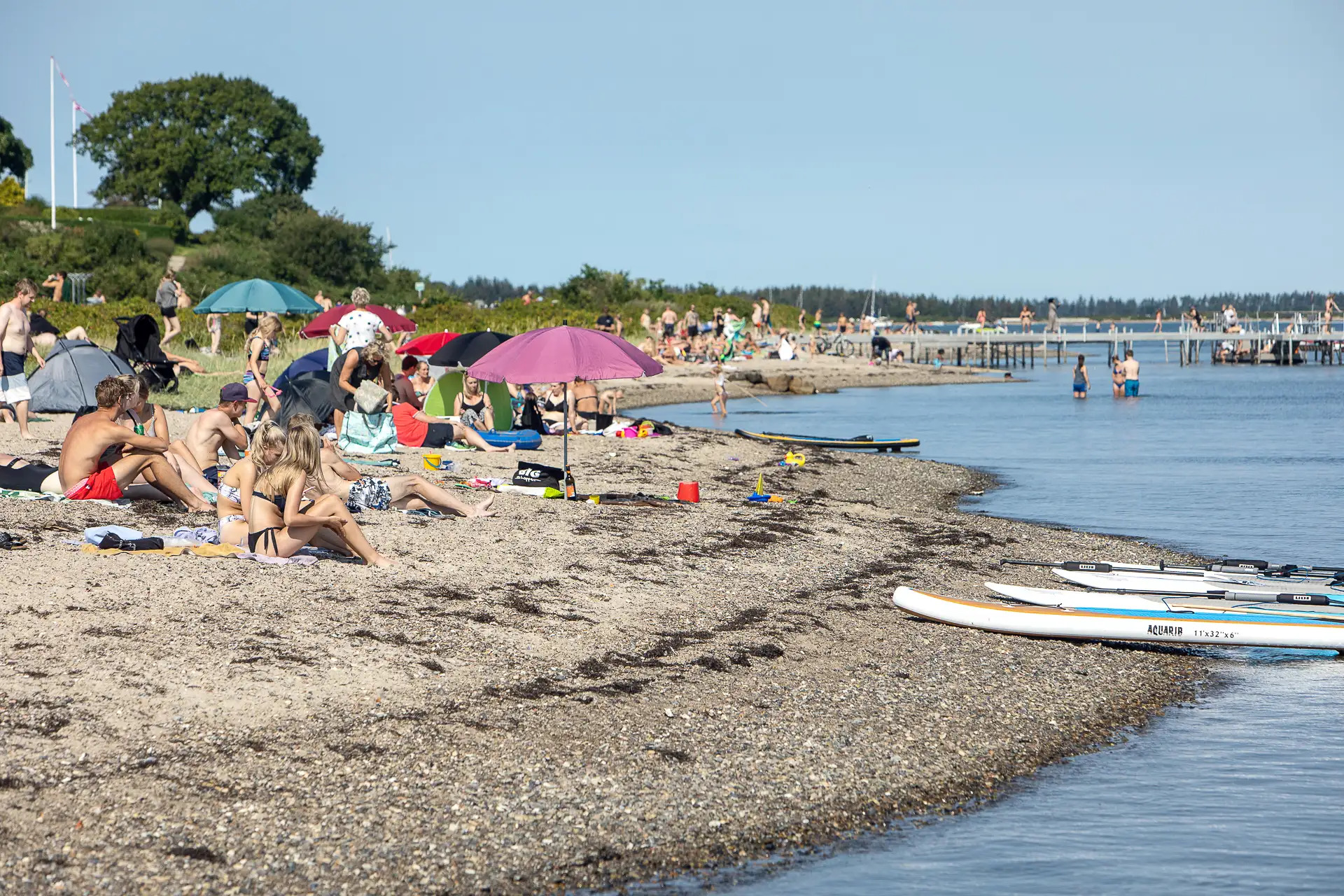 Struer Kommune når nye højder med rekordturisme i 2024