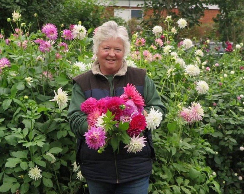 Oplev en blomstrende oase med Haveselskabet Gentofte