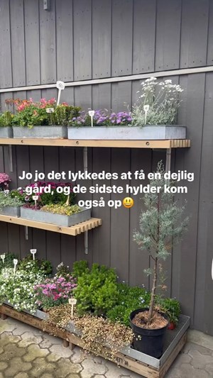 opslagsbillede